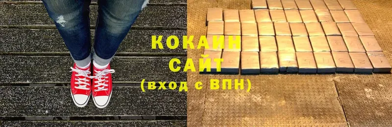 Cocaine FishScale  купить закладку  Шелехов 